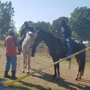 Meet your Posher, Pamela